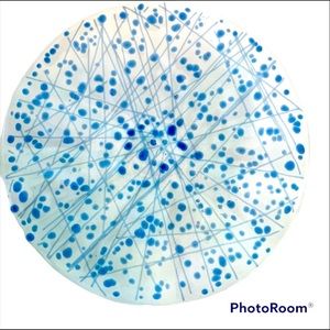 Blue Art Glass Platter Art Bowl Blue Polka Dot Platter Murano Inspired  OOAK